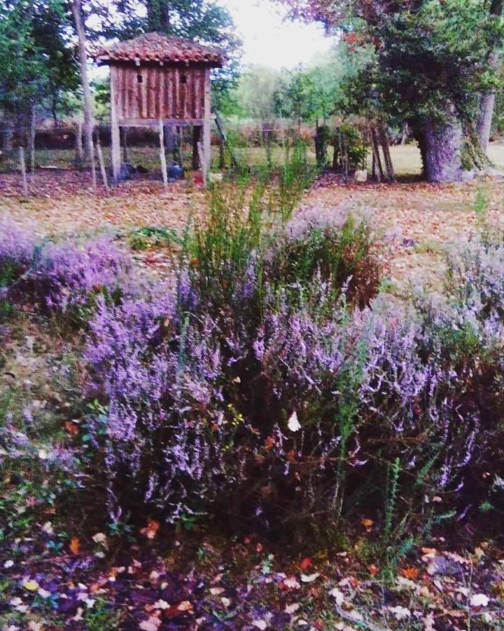 Les Hotes Des Guillemets Laglorieuse Εξωτερικό φωτογραφία